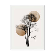 Northwick Curve Sun Wall Art Print — gallery image 66