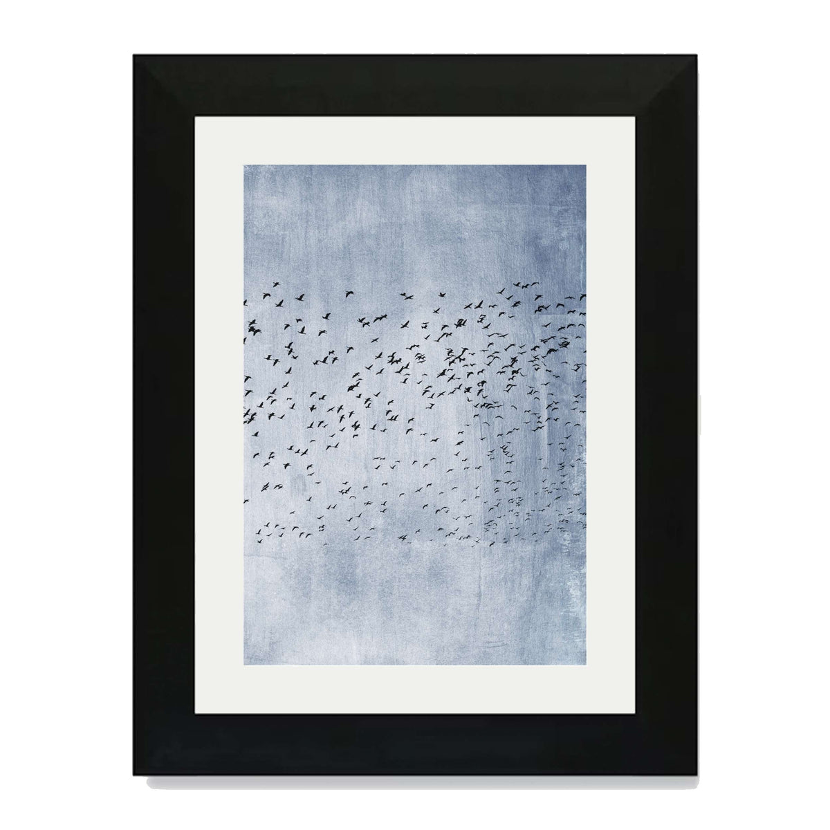 Sherwood Curve Bird Wall Art Print — gallery image 28