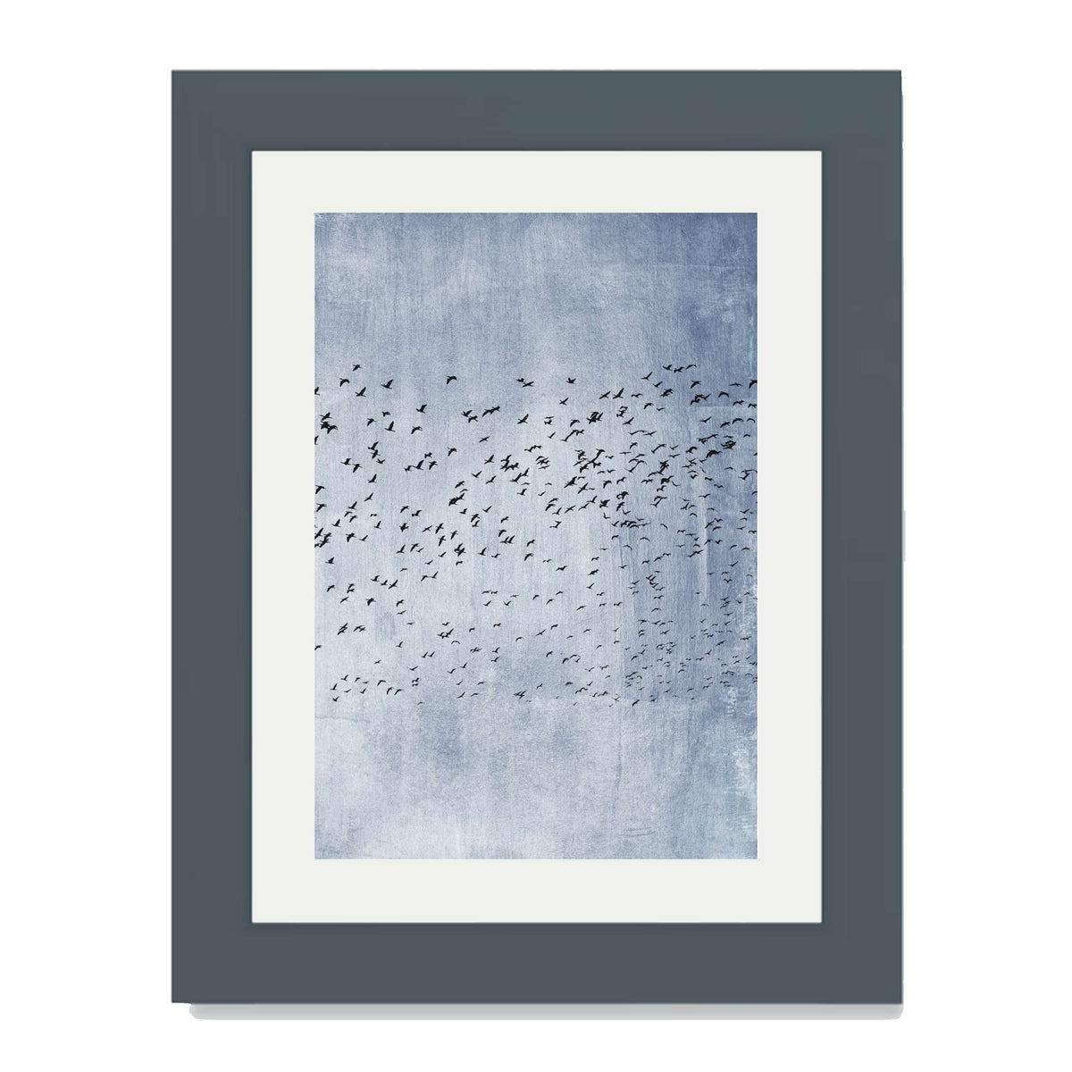 Sherwood Curve Bird Wall Art Print — gallery image 27