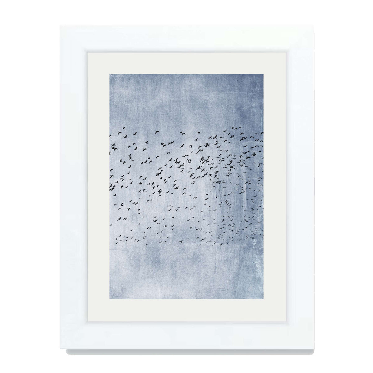 Sherwood Curve Bird Wall Art Print — gallery image 60