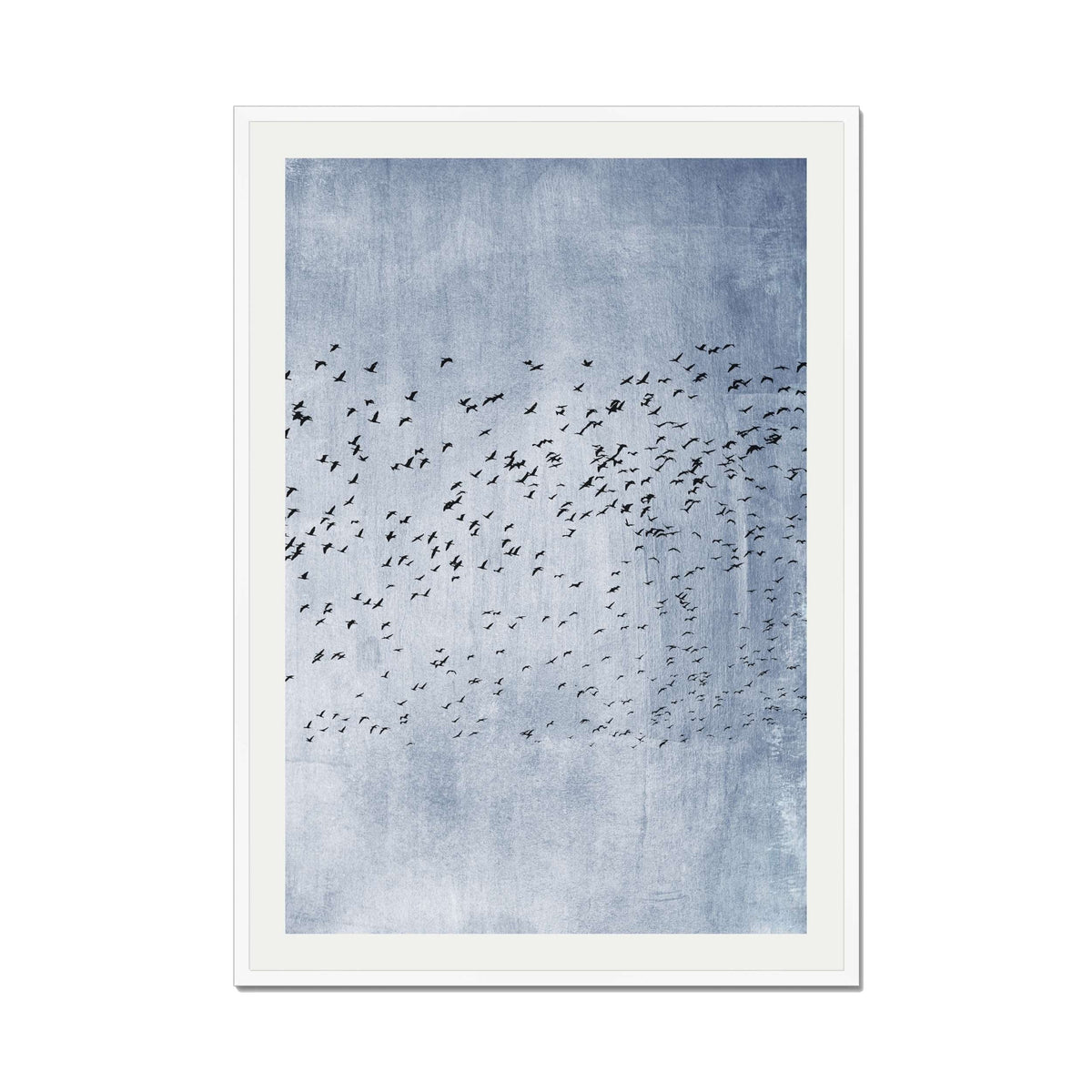 Sherwood Curve Bird Wall Art Print — gallery image 65