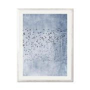 Sherwood Curve Bird Wall Art Print — gallery image 58