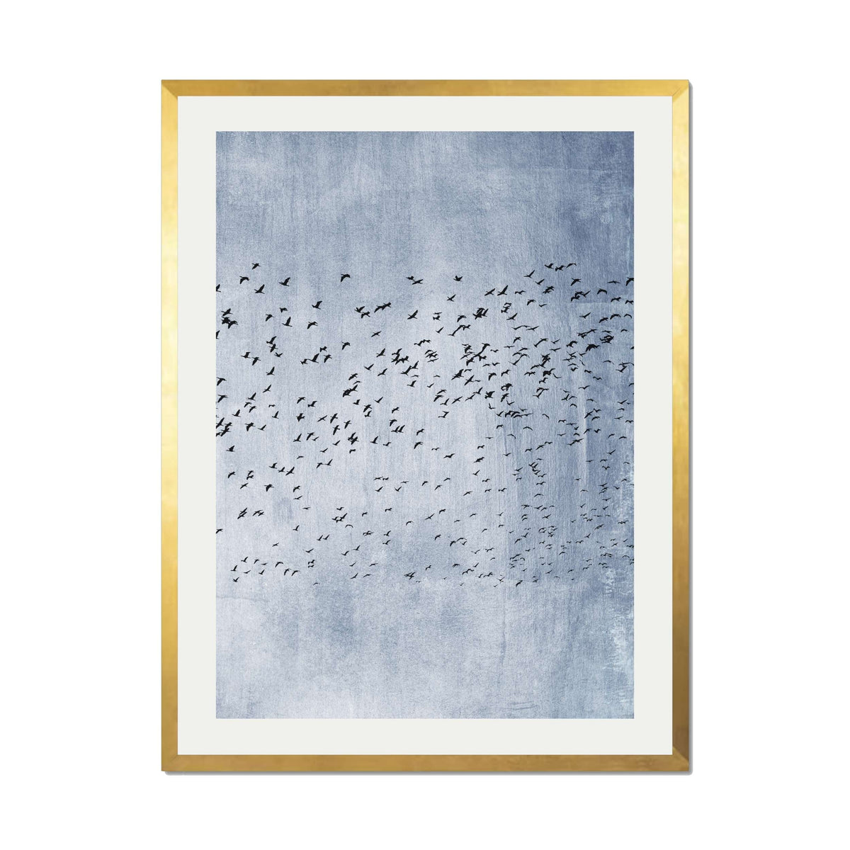 Sherwood Curve Bird Wall Art Print — gallery image 44
