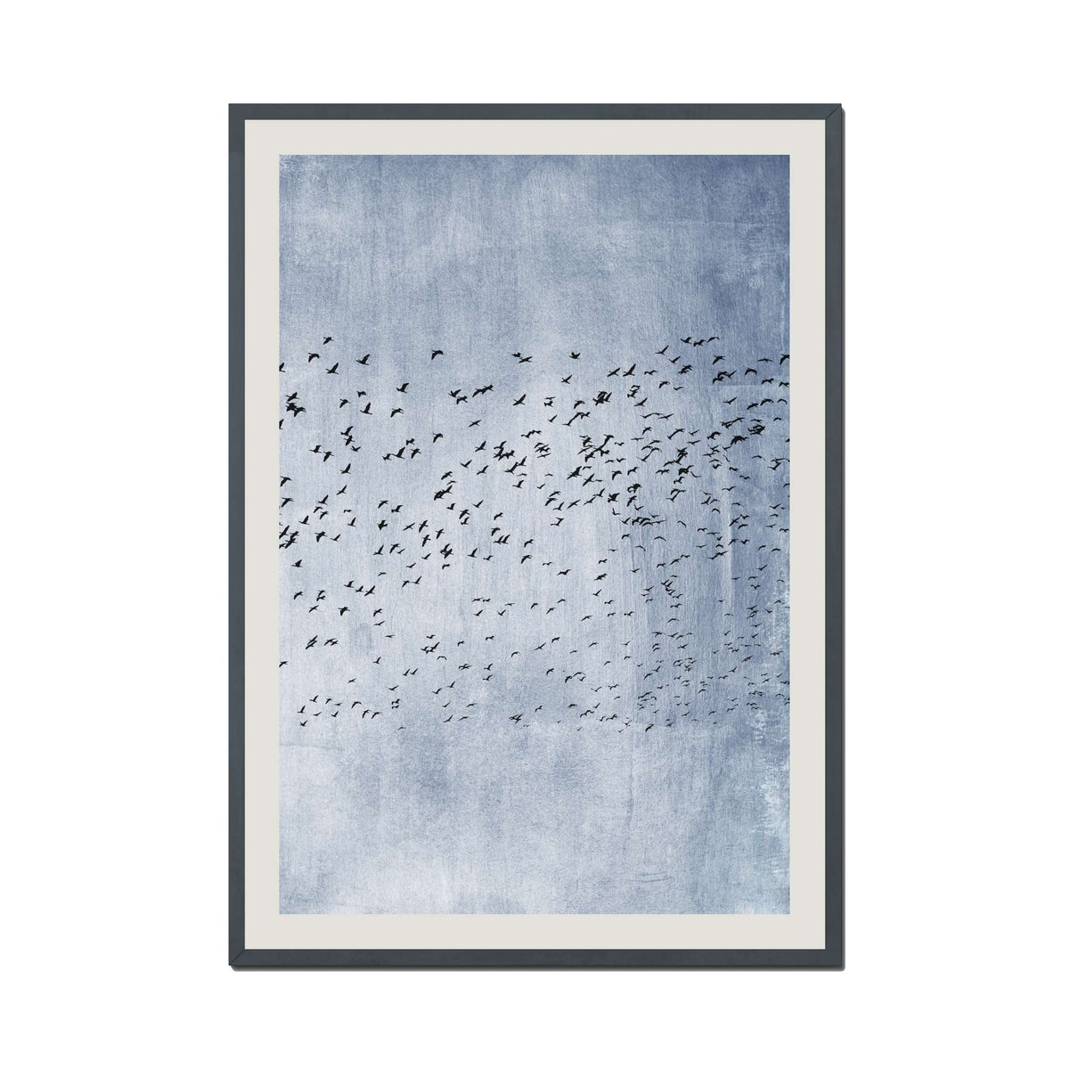 Sherwood Curve Bird Wall Art Print — gallery image 66