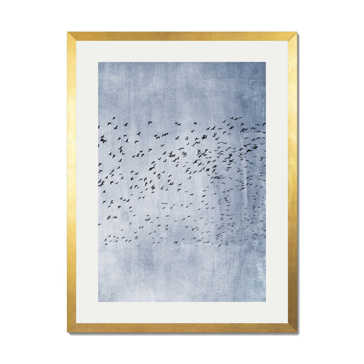 Sherwood Curve Bird Wall Art Print — gallery image 43