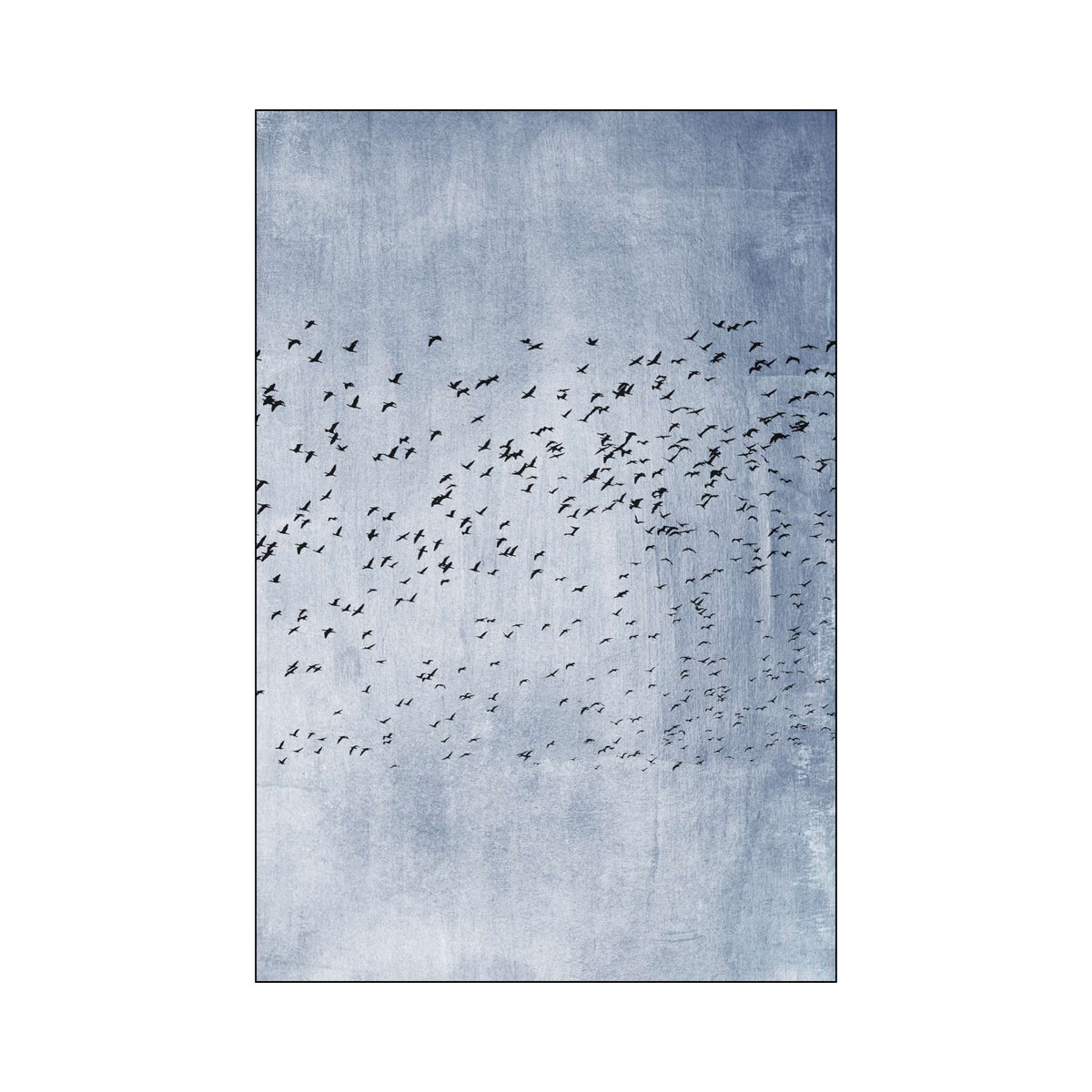Sherwood Curve Bird Wall Art Print — gallery image 68