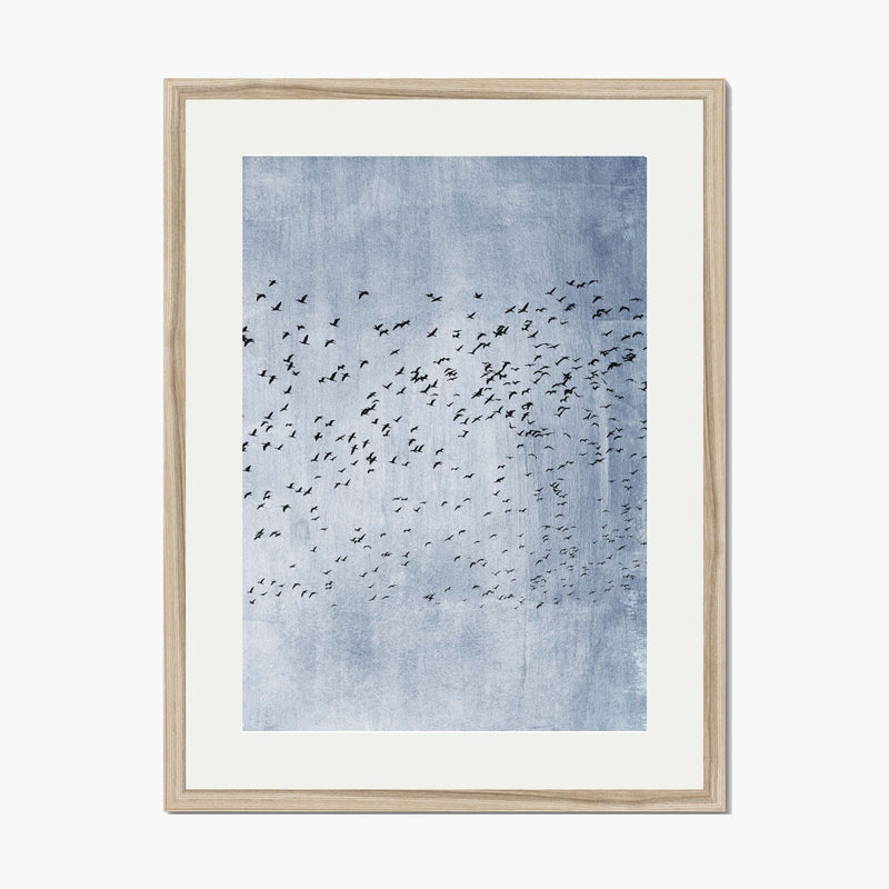 Sherwood Curve Bird Wall Art Print — gallery image 1
