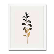 Willoughby Curve Botanical Wall Art Print — gallery image 50