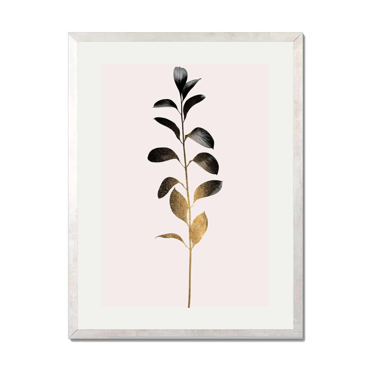 Willoughby Curve Botanical Wall Art Print — gallery image 62