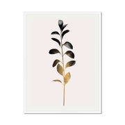 Willoughby Curve Botanical Wall Art Print — gallery image 63