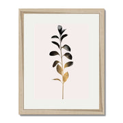 Willoughby Curve Botanical Wall Art Print — gallery image 55