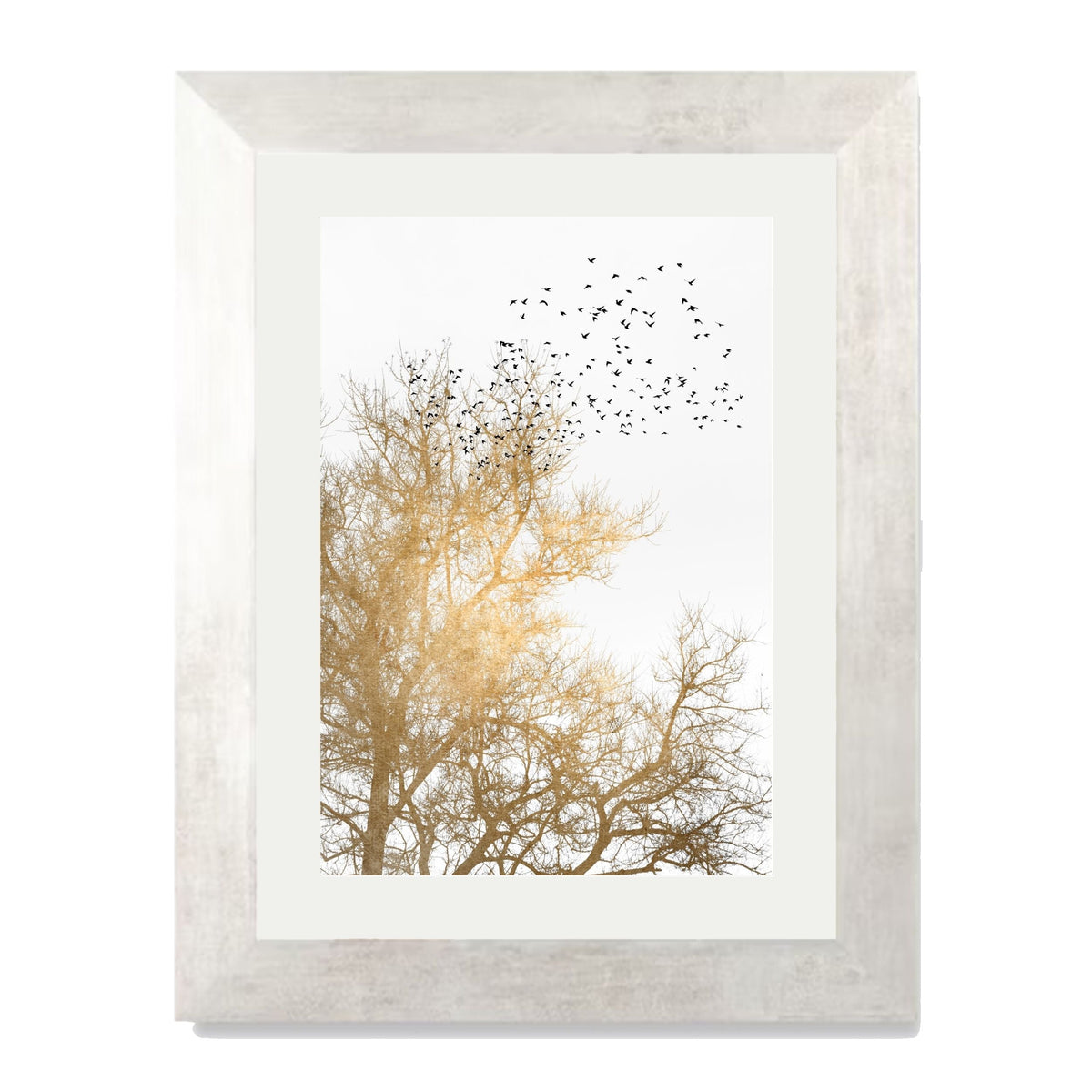 Cedar Axis Bird Wall Art Print — gallery image 22