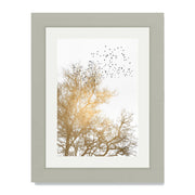 Cedar Axis Bird Wall Art Print — gallery image 21
