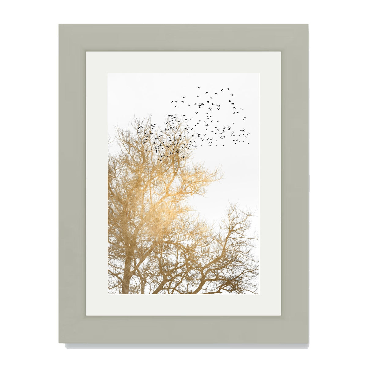 Cedar Axis Bird Wall Art Print — gallery image 21