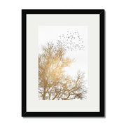 Cedar Axis Bird Wall Art Print — gallery image 23
