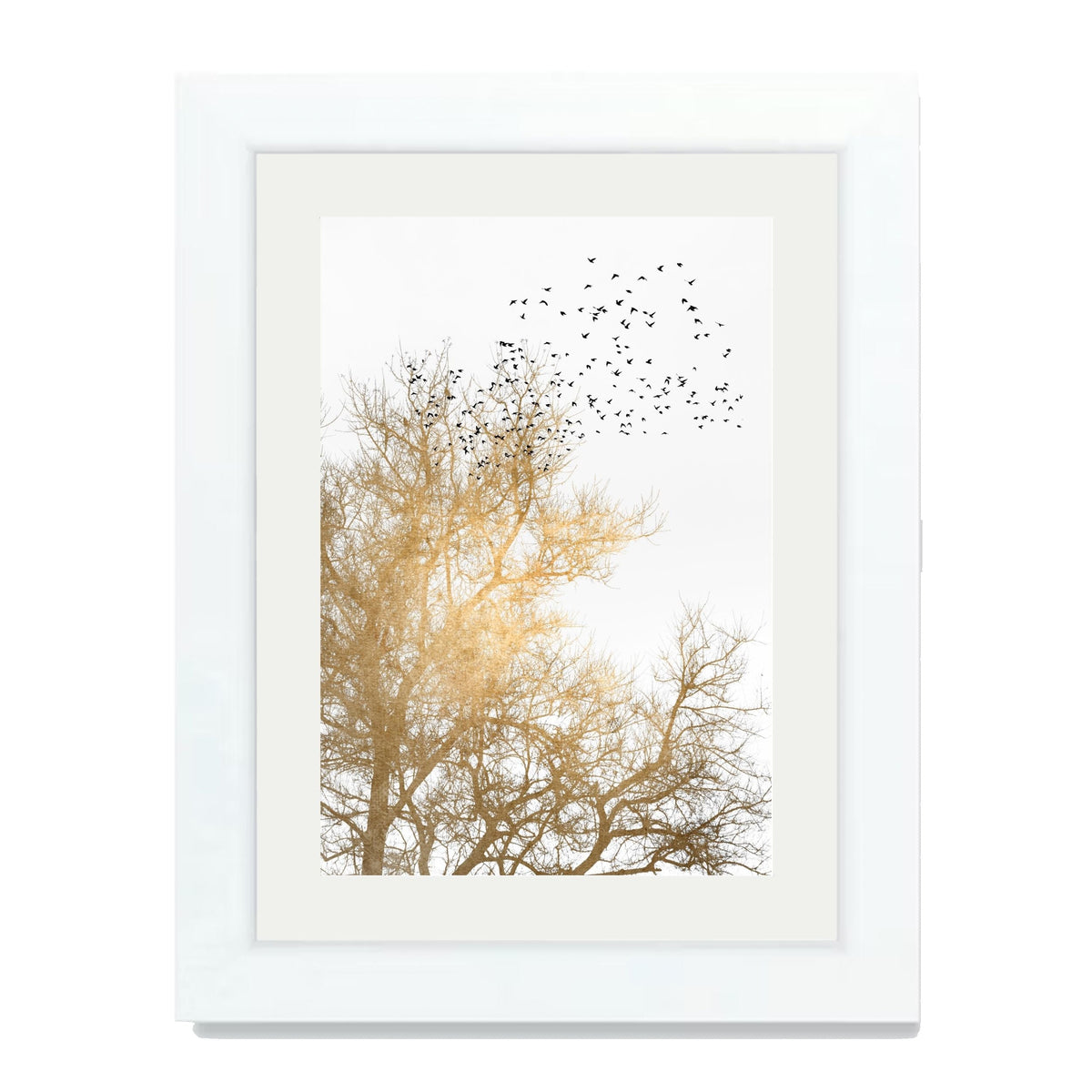 Cedar Axis Bird Wall Art Print — gallery image 26
