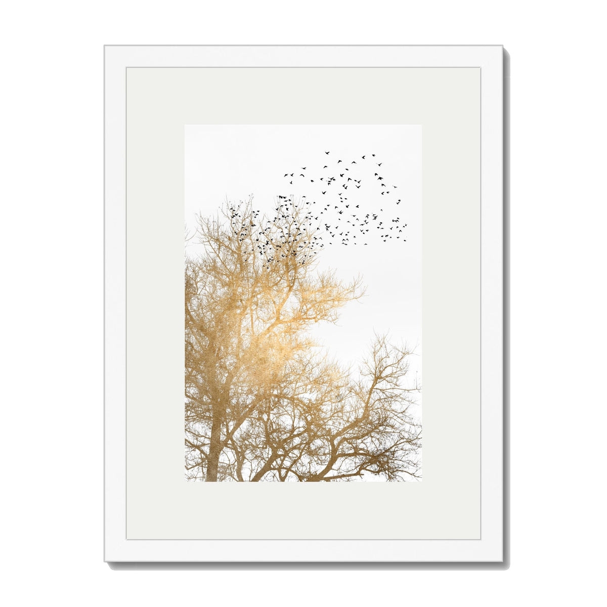 Cedar Axis Bird Wall Art Print — gallery image 27