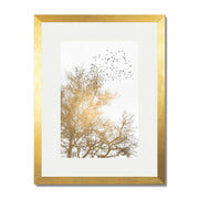 Cedar Axis Bird Wall Art Print — gallery image 25