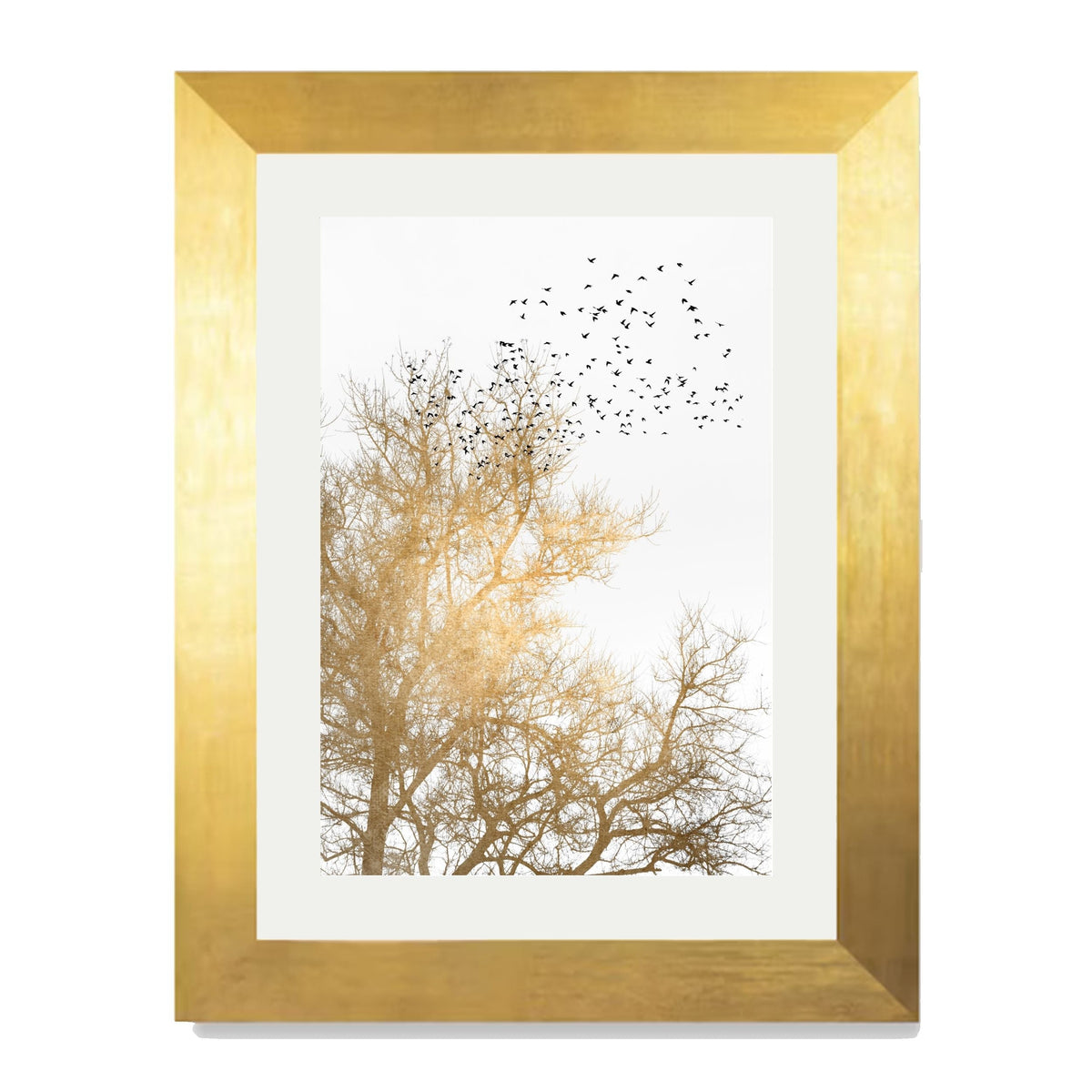 Cedar Axis Bird Wall Art Print — gallery image 31