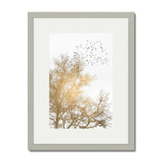 Cedar Axis Bird Wall Art Print — gallery image 32