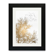 Cedar Axis Bird Wall Art Print — gallery image 28