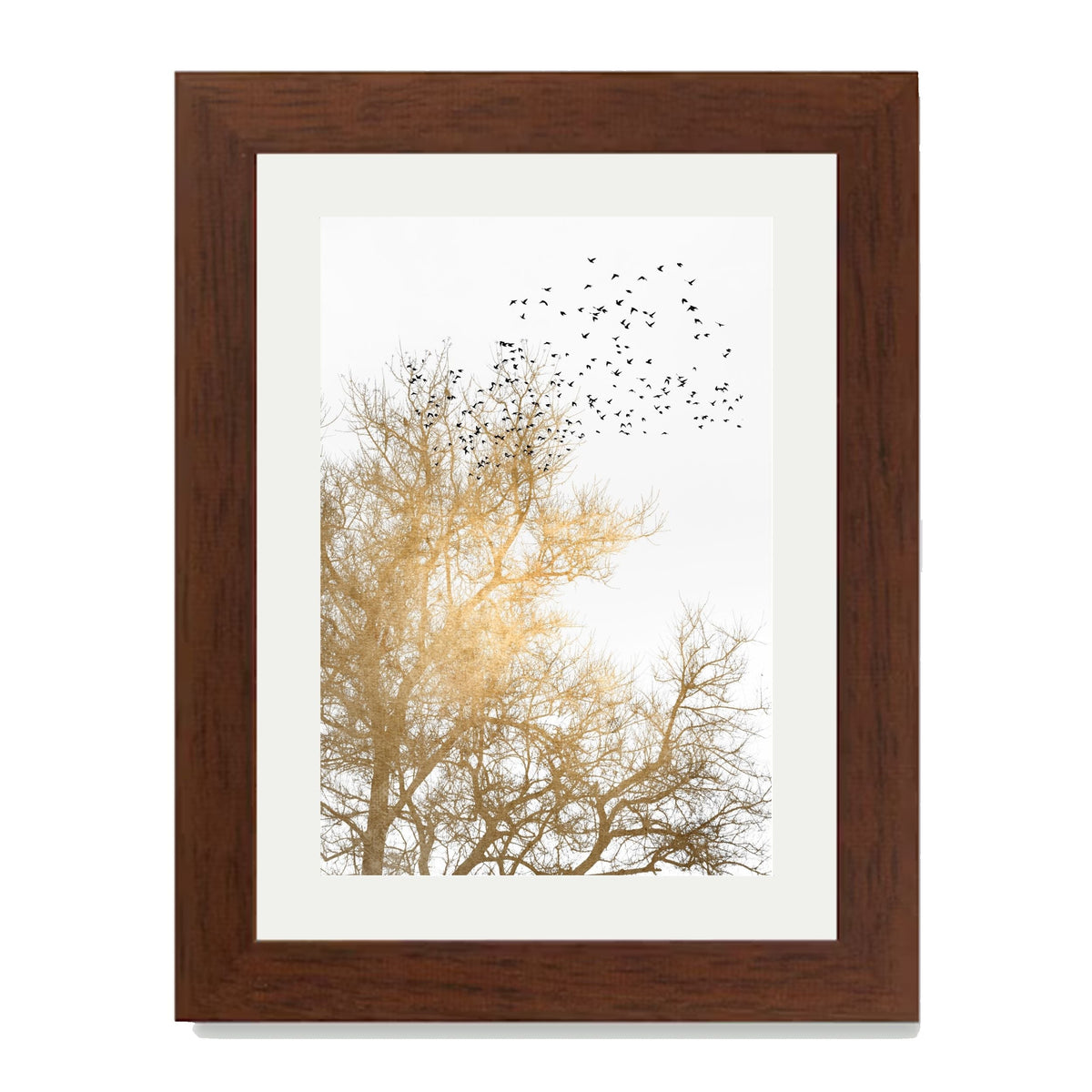 Cedar Axis Bird Wall Art Print — gallery image 29