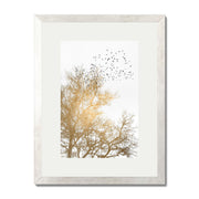 Cedar Axis Bird Wall Art Print — gallery image 33