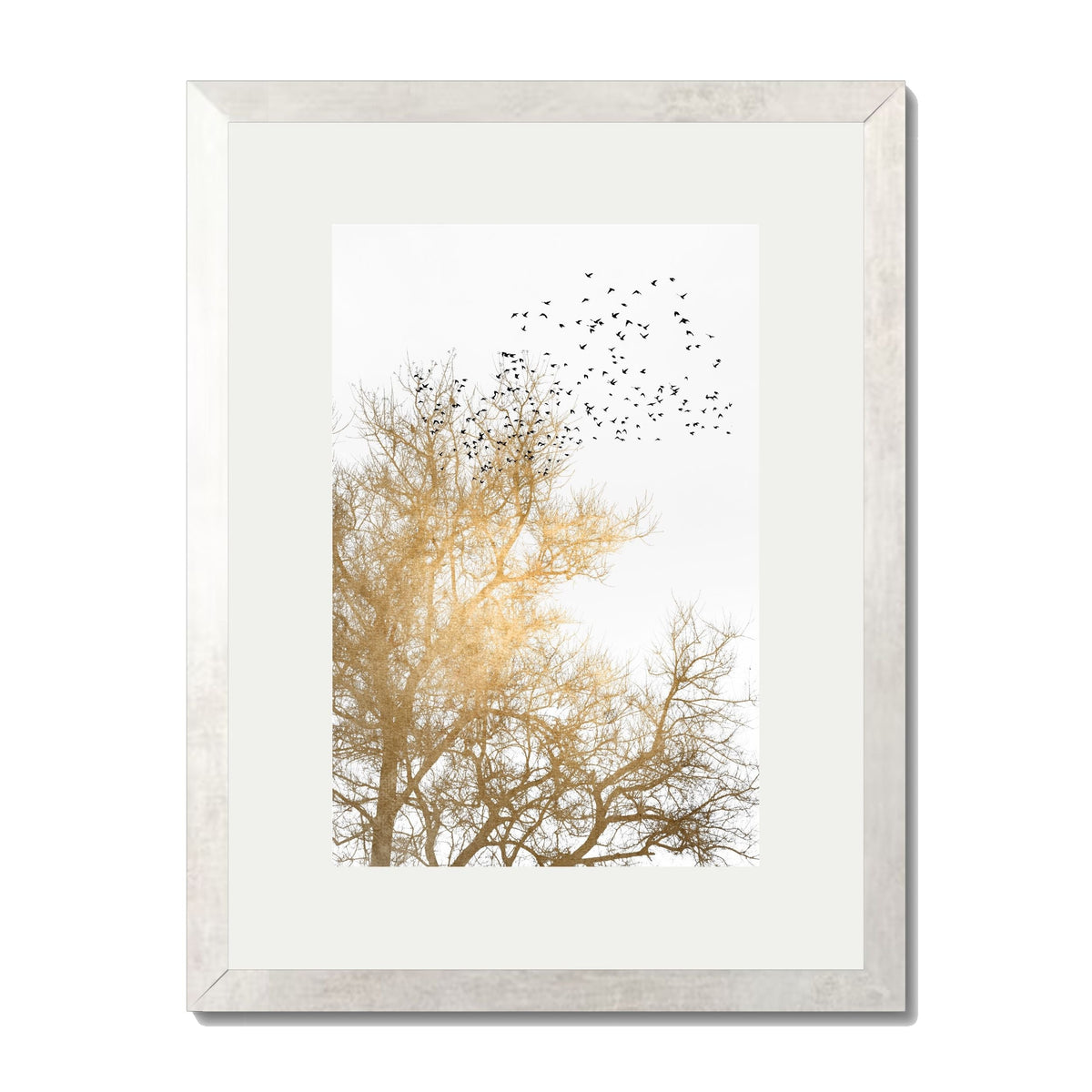 Cedar Axis Bird Wall Art Print — gallery image 33