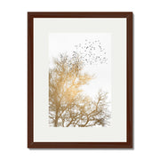 Cedar Axis Bird Wall Art Print — gallery image 30