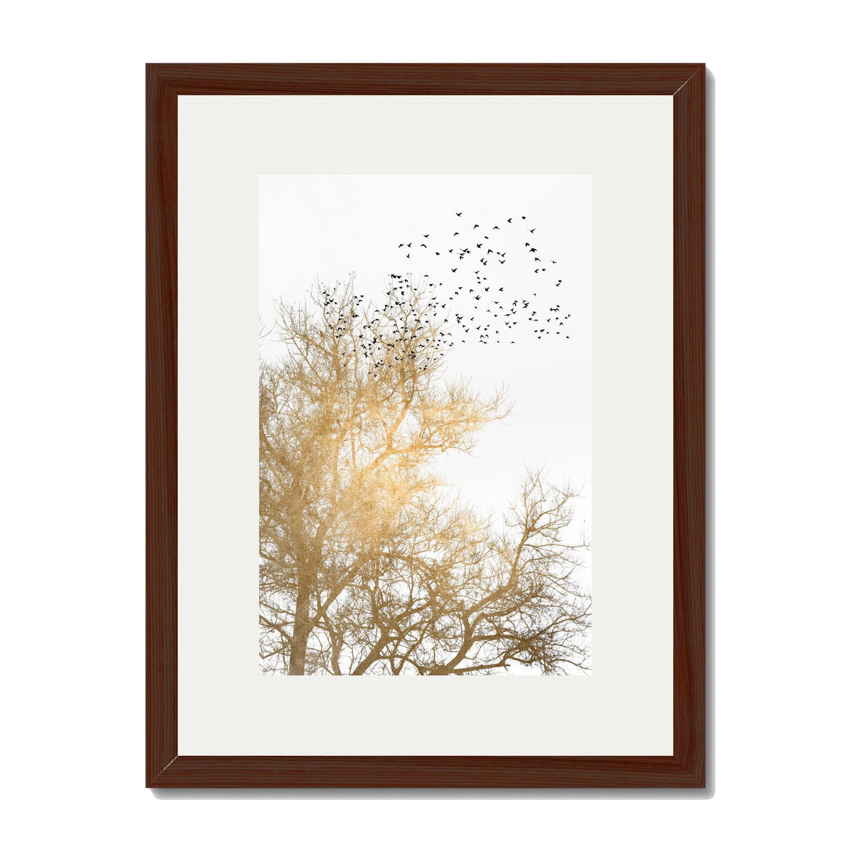 Cedar Axis Bird Wall Art Print — gallery image 30