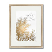 Cedar Axis Bird Wall Art Print — gallery image 34