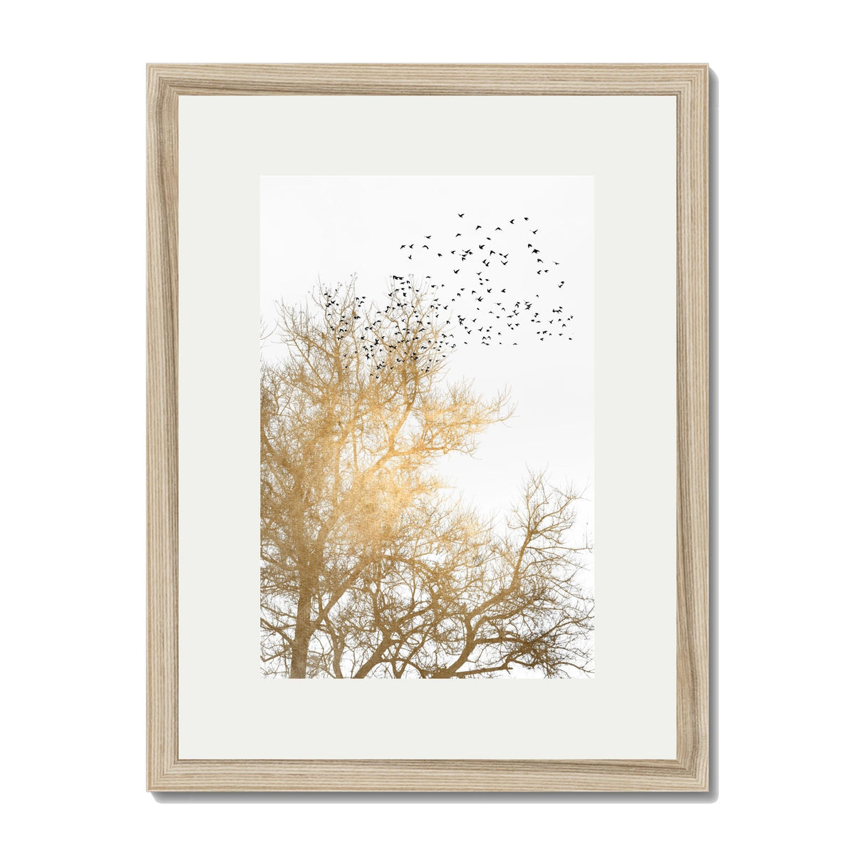 Cedar Axis Bird Wall Art Print — gallery image 34