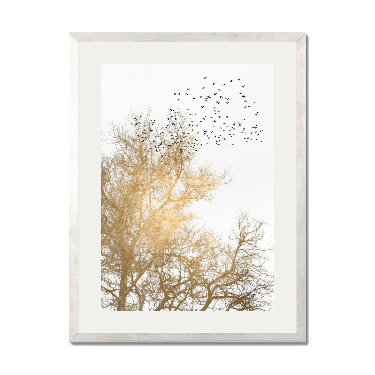 Cedar Axis Bird Wall Art Print — gallery image 54