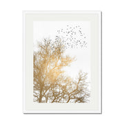 Cedar Axis Bird Wall Art Print — gallery image 58