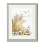Cedar Axis Bird Wall Art Print — gallery image 46