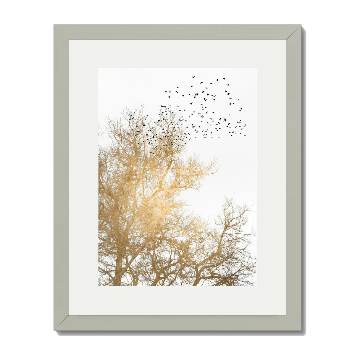 Cedar Axis Bird Wall Art Print — gallery image 46