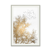 Cedar Axis Bird Wall Art Print — gallery image 48