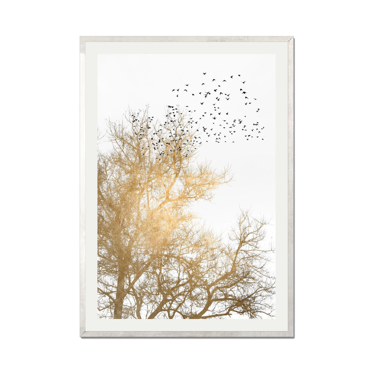 Cedar Axis Bird Wall Art Print — gallery image 56