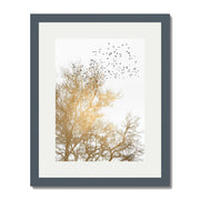 Cedar Axis Bird Wall Art Print — gallery image 41