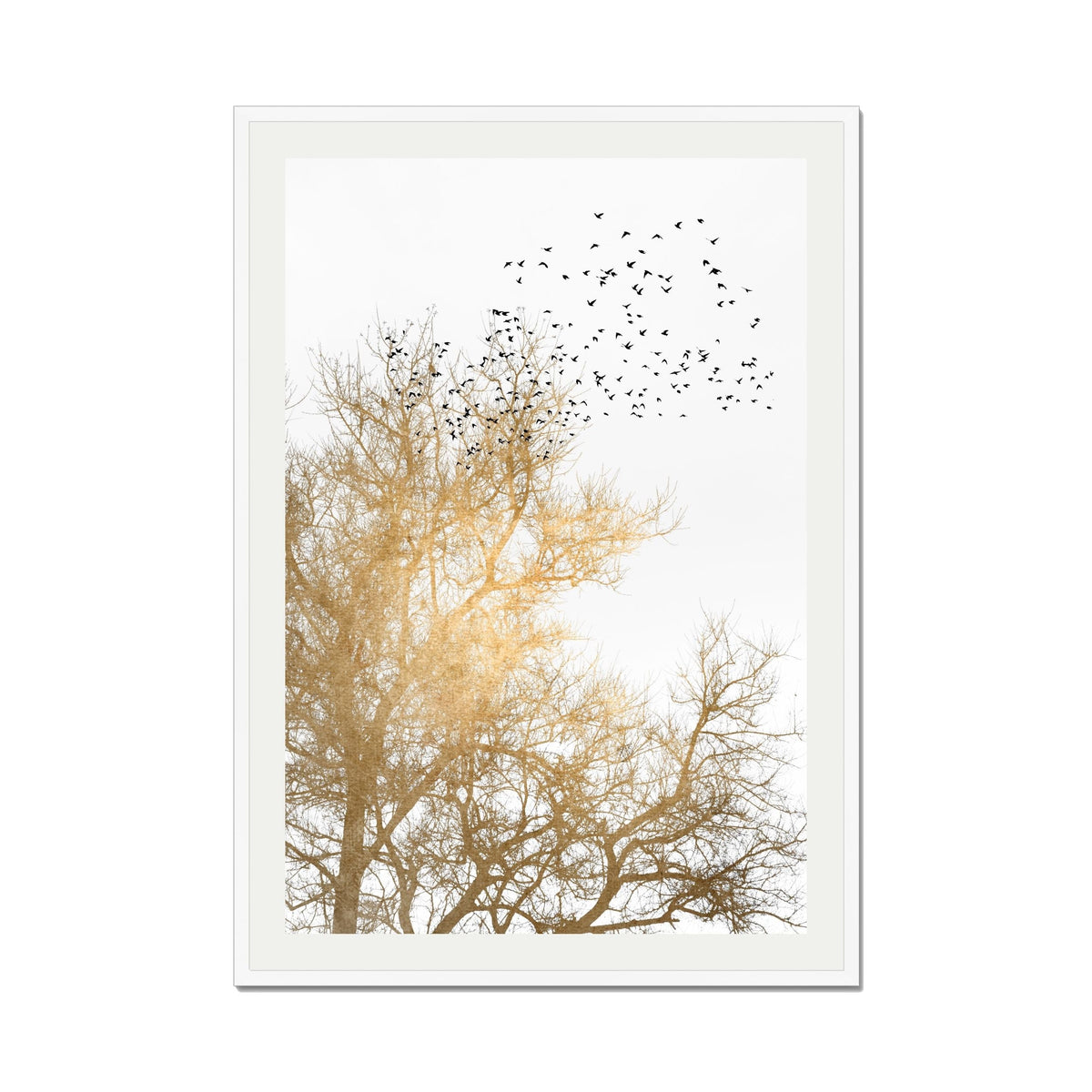 Cedar Axis Bird Wall Art Print — gallery image 60