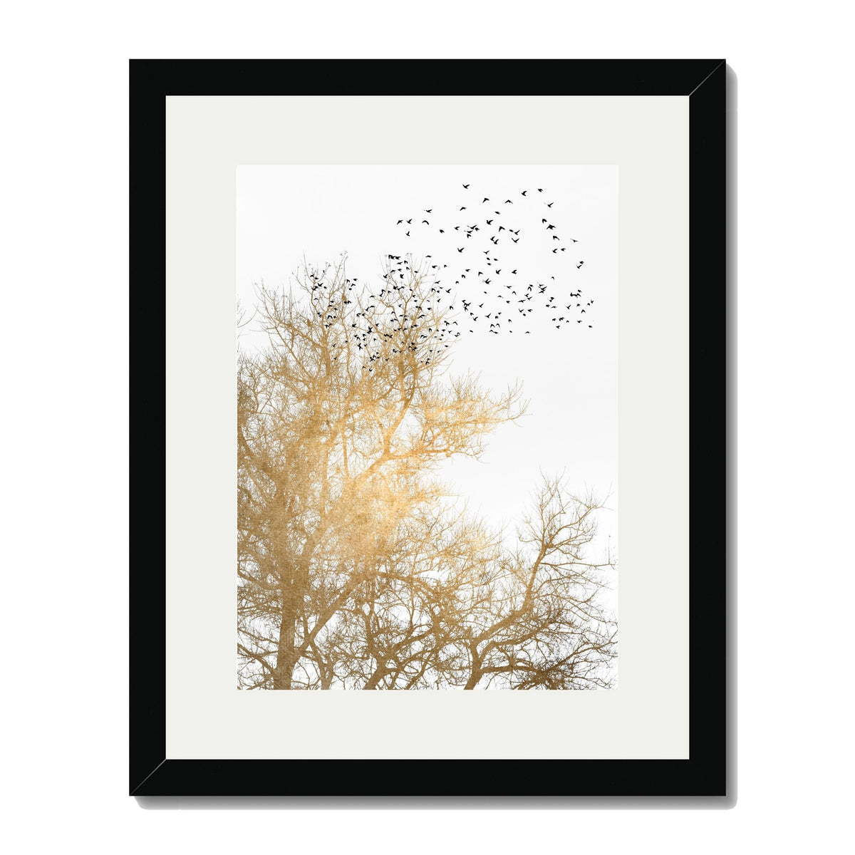 Cedar Axis Bird Wall Art Print — gallery image 35