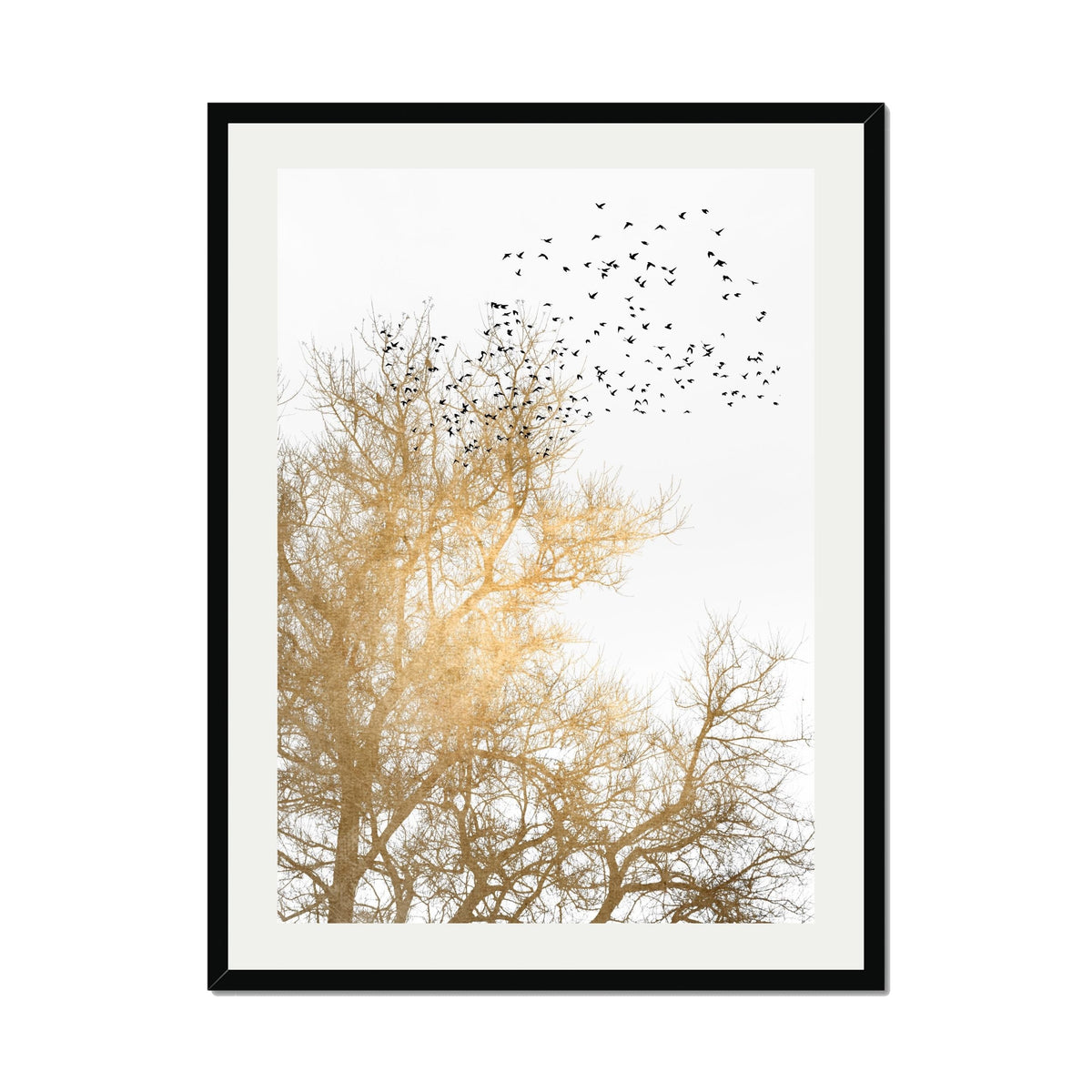 Cedar Axis Bird Wall Art Print — gallery image 37