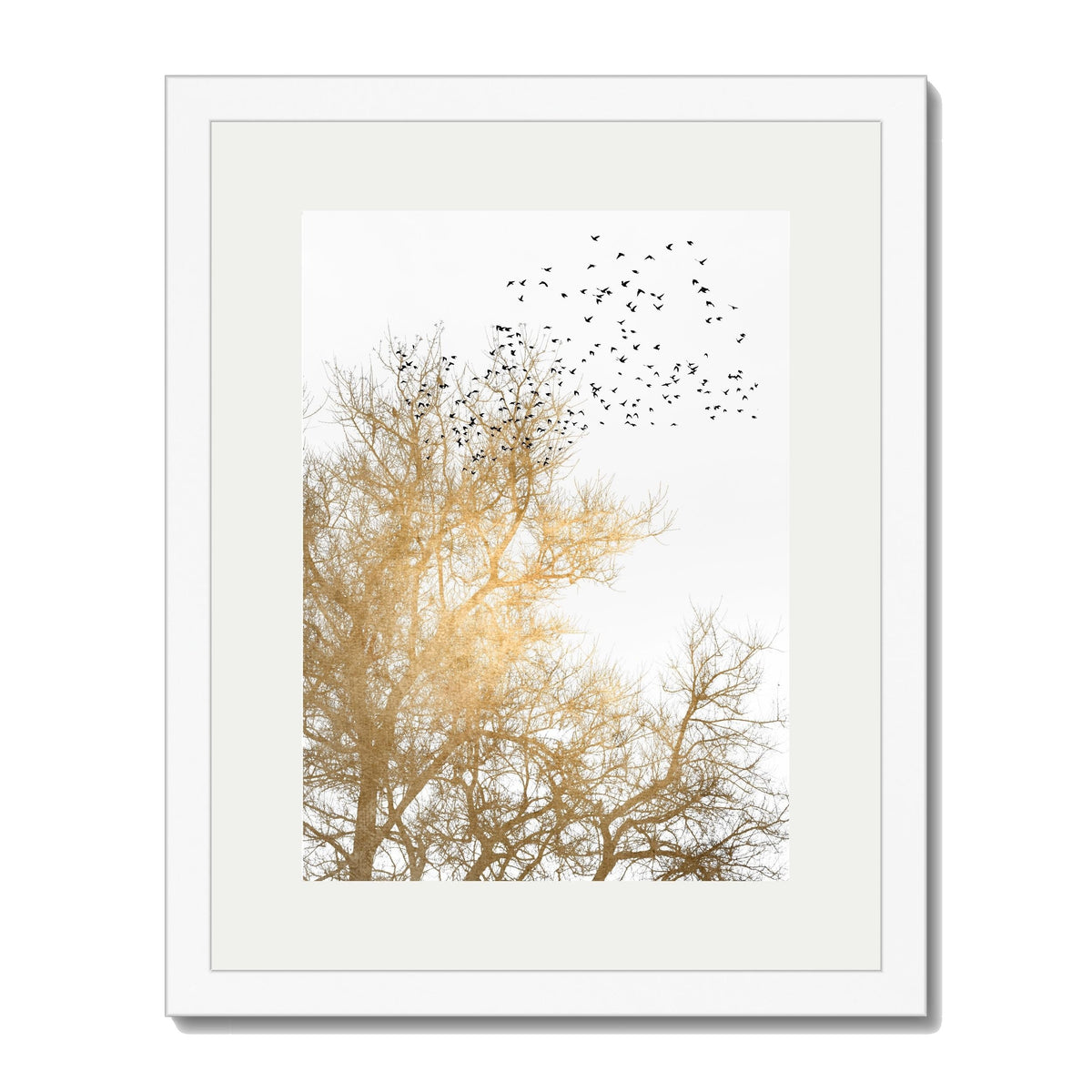 Cedar Axis Bird Wall Art Print — gallery image 57