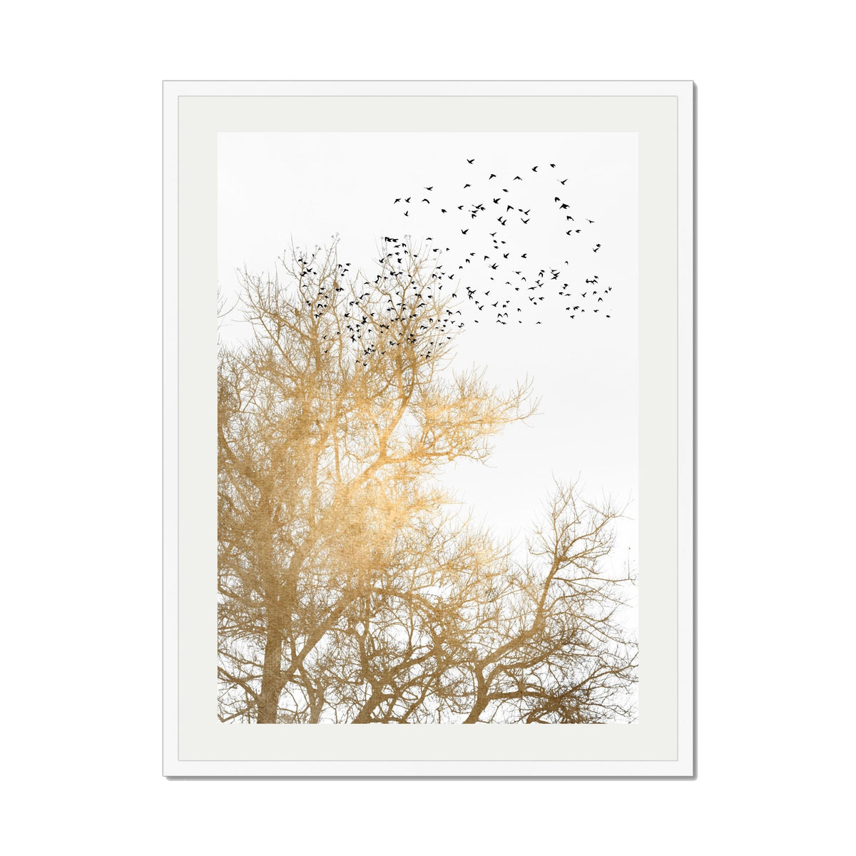 Cedar Axis Bird Wall Art Print — gallery image 59