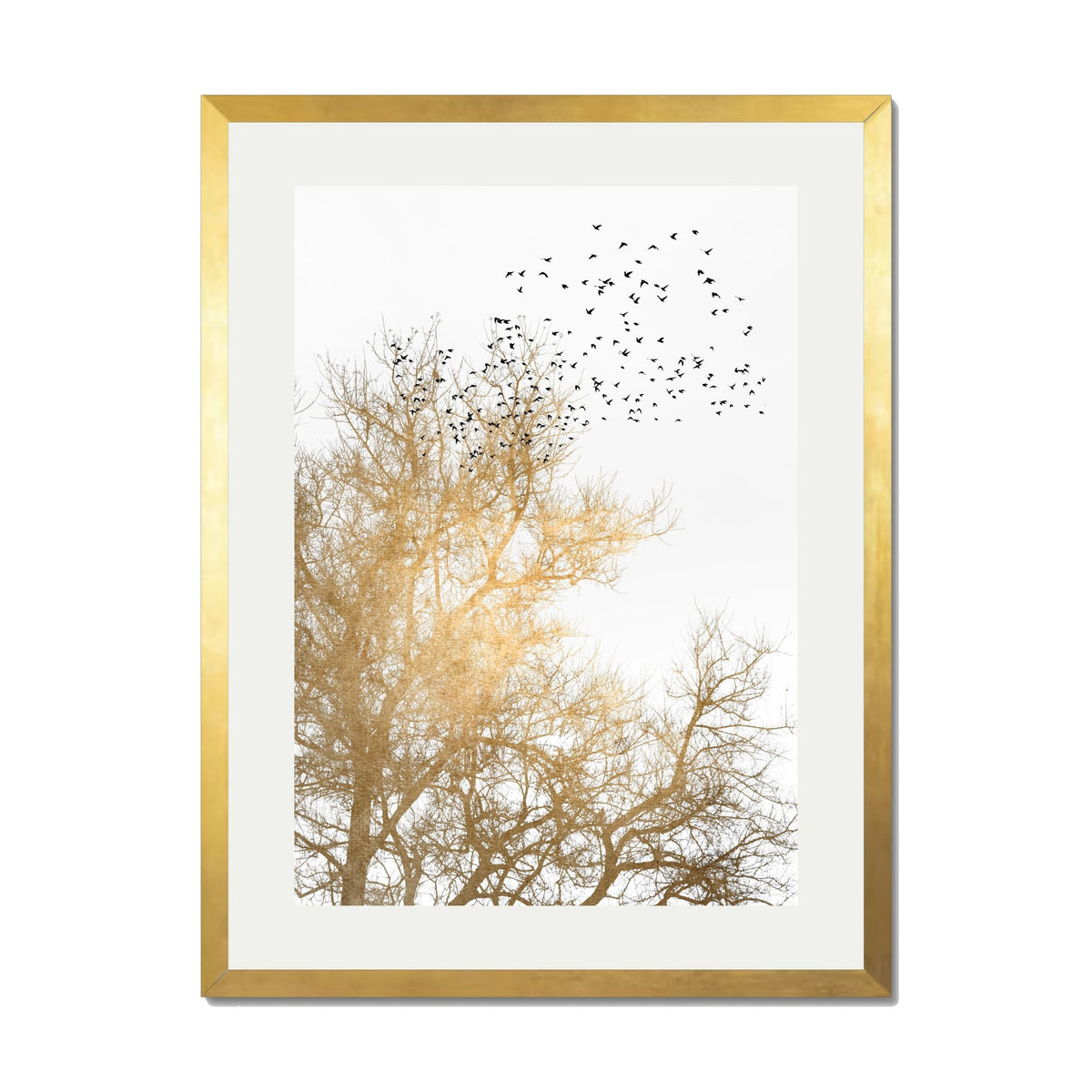 Cedar Axis Bird Wall Art Print — gallery image 44