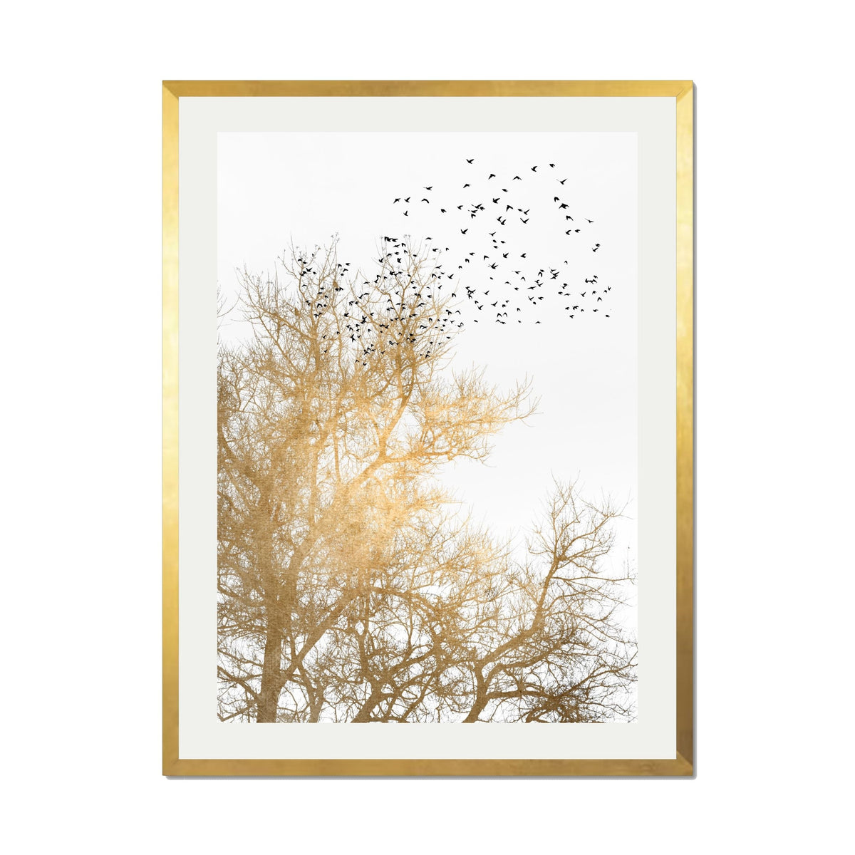 Cedar Axis Bird Wall Art Print — gallery image 45