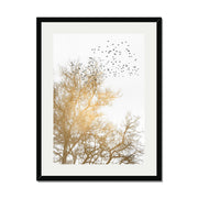 Cedar Axis Bird Wall Art Print — gallery image 36