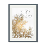 Cedar Axis Bird Wall Art Print — gallery image 42