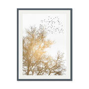 Cedar Axis Bird Wall Art Print — gallery image 43
