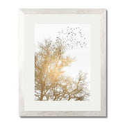 Cedar Axis Bird Wall Art Print — gallery image 53